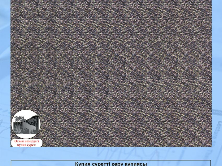 Құпия сурет